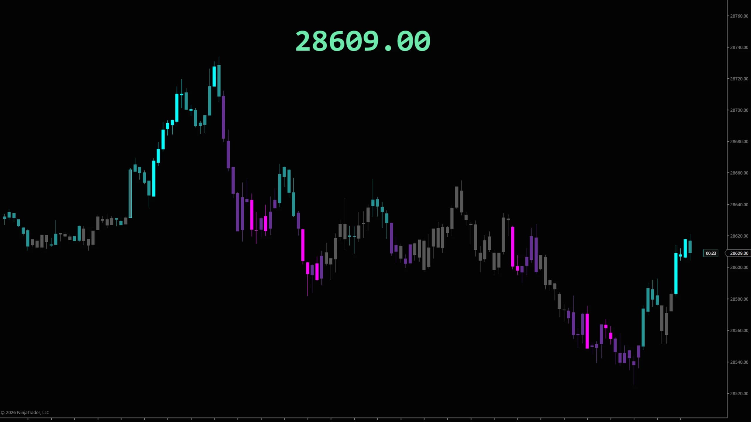 DS Chart Price on a NinjaTrader 8 chart — The last price, large, at the top center of the panel — one of nine places it can sit.