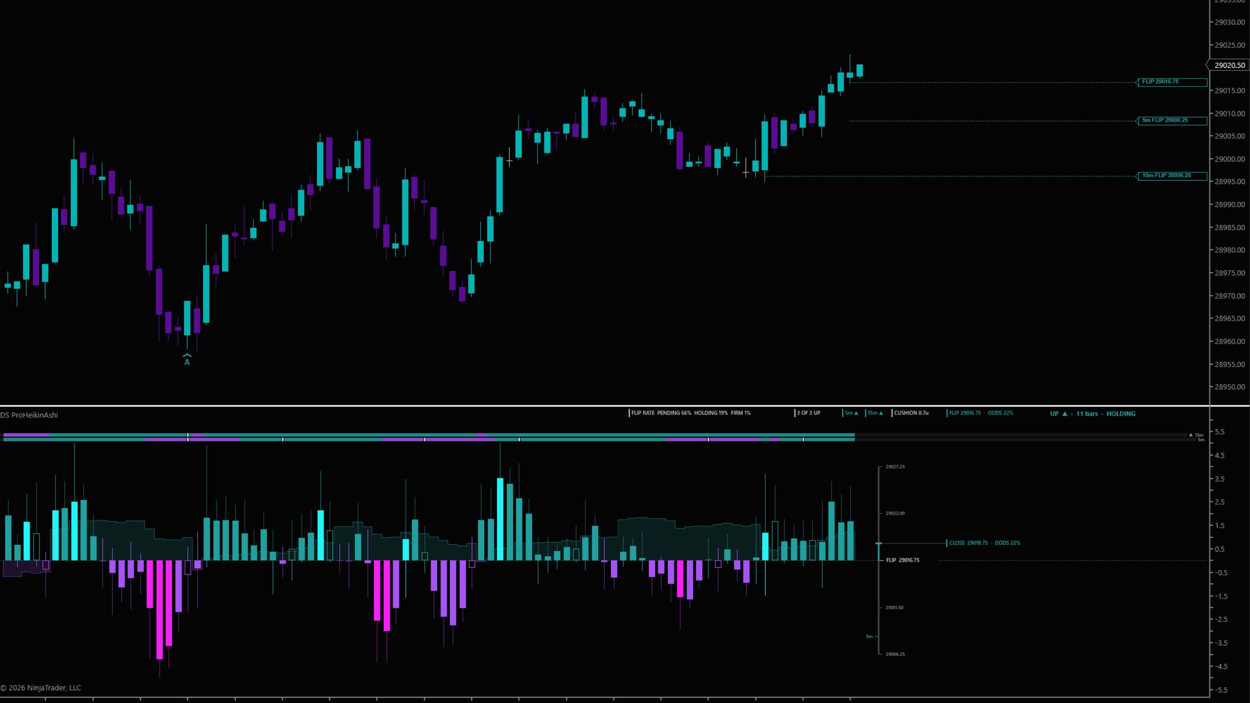 DS ProHeikinAshi on a NinjaTrader 8 chart — All three directions up: the header reads 3 OF 3 UP and UP ▲ · 11 bars · HOLDING, with the chart's FLIP at 29016.75 and the 5m and 15m flip levels drawn on price as dotted rails.