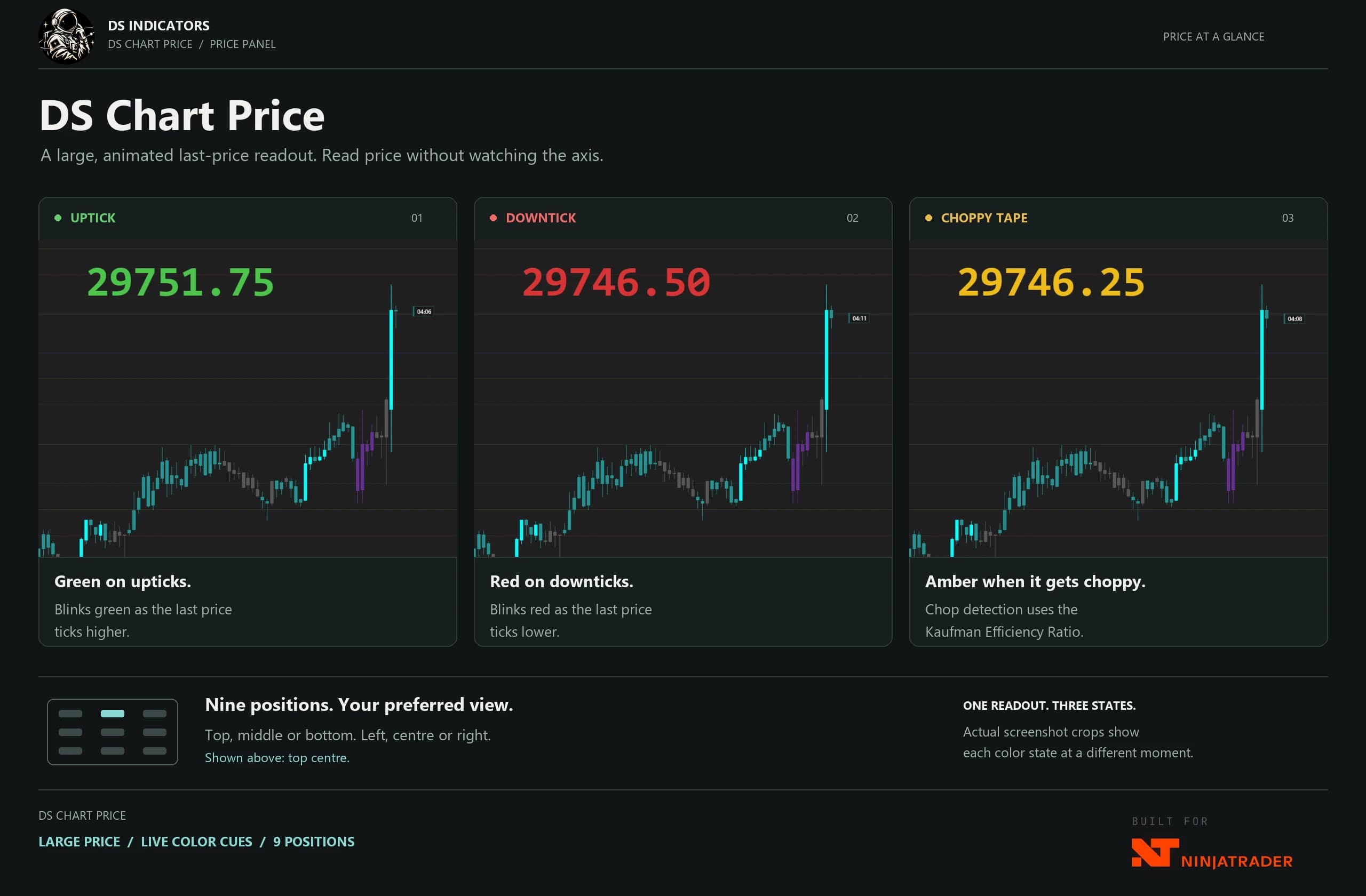 DS Chart Price product guide — A large, animated last-price readout — green, red, and amber when it gets choppy.