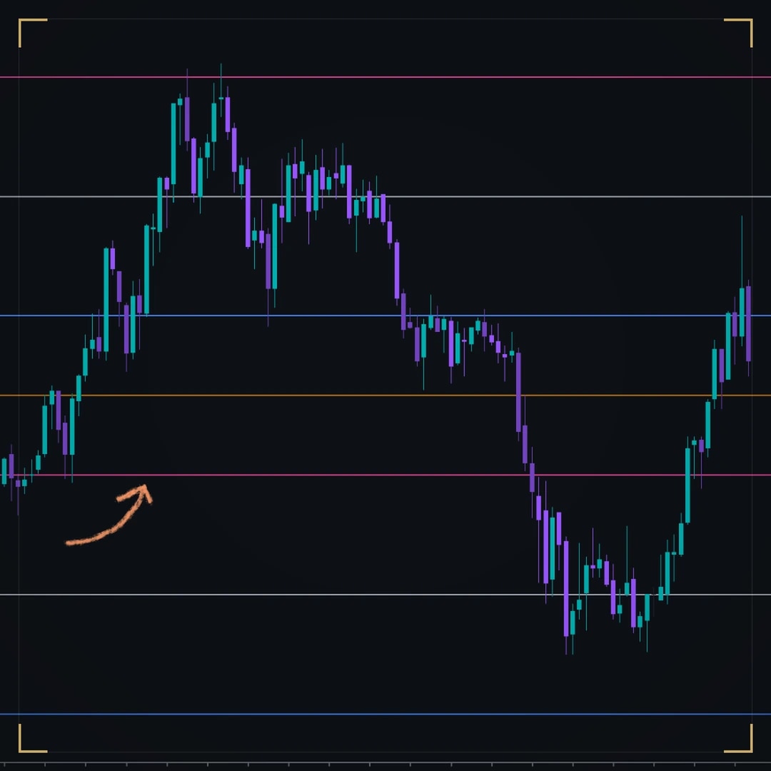 DS 258 on a dark NinjaTrader chart: price moving between the 00, 20, 50 and 80 levels, each in its own color; a hand-drawn arrow marks the bounce off a level.