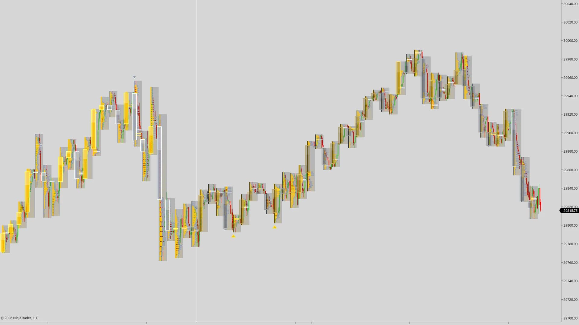 DS Flow on a NinjaTrader 8 chart