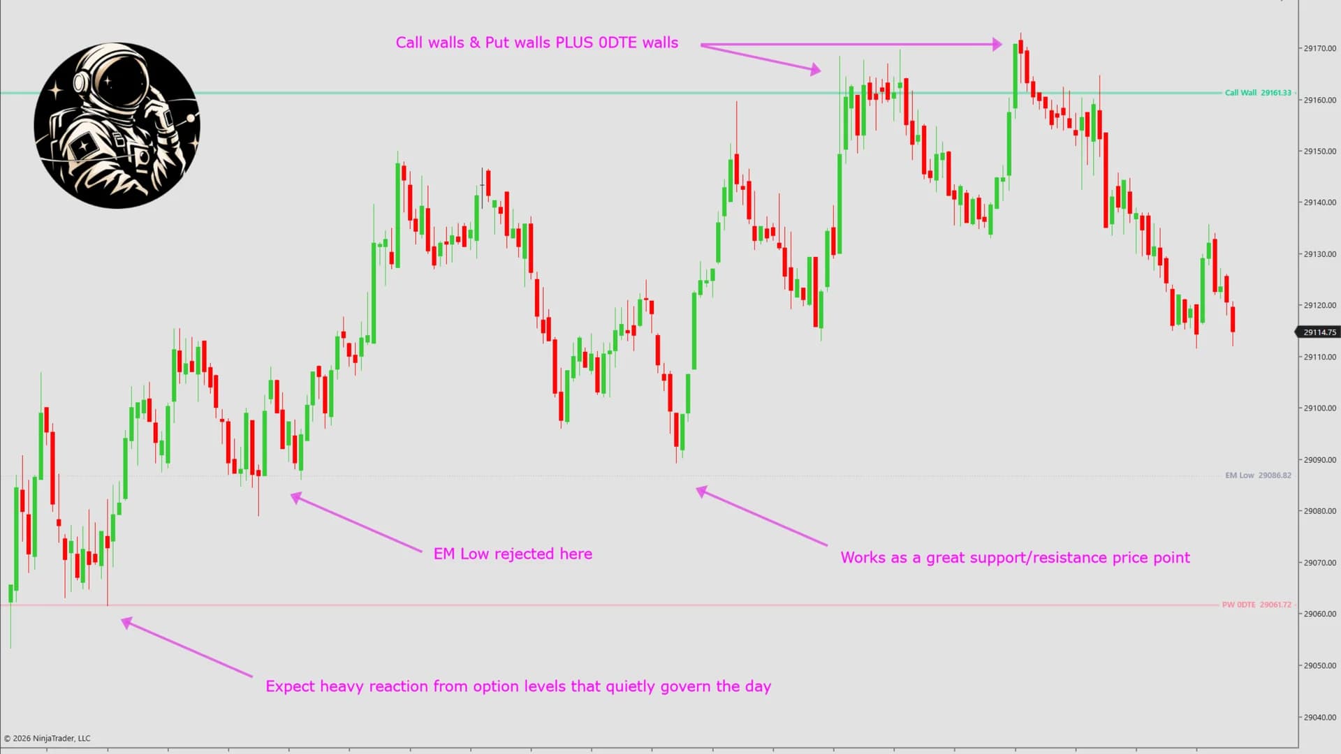 DS GEX on a NinjaTrader 8 chart