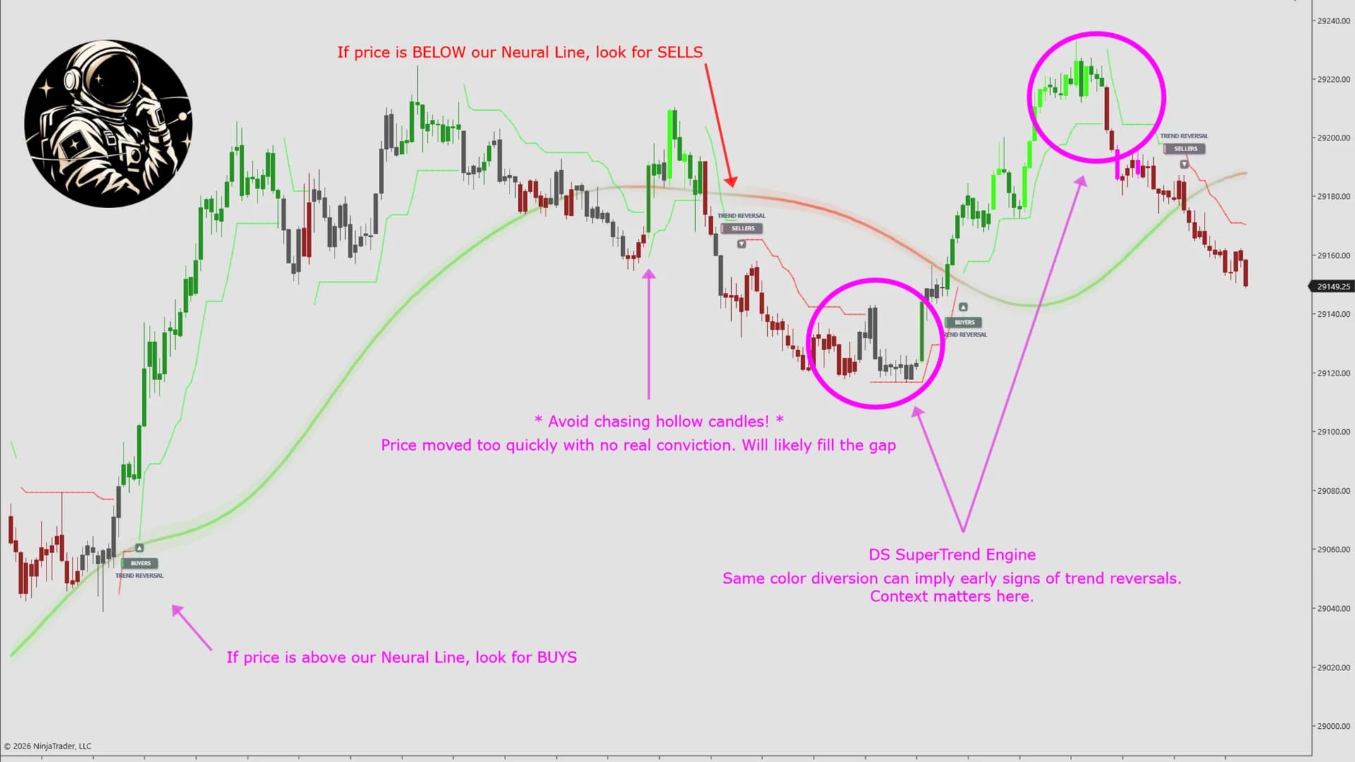 DS Oracle on a NinjaTrader 8 chart