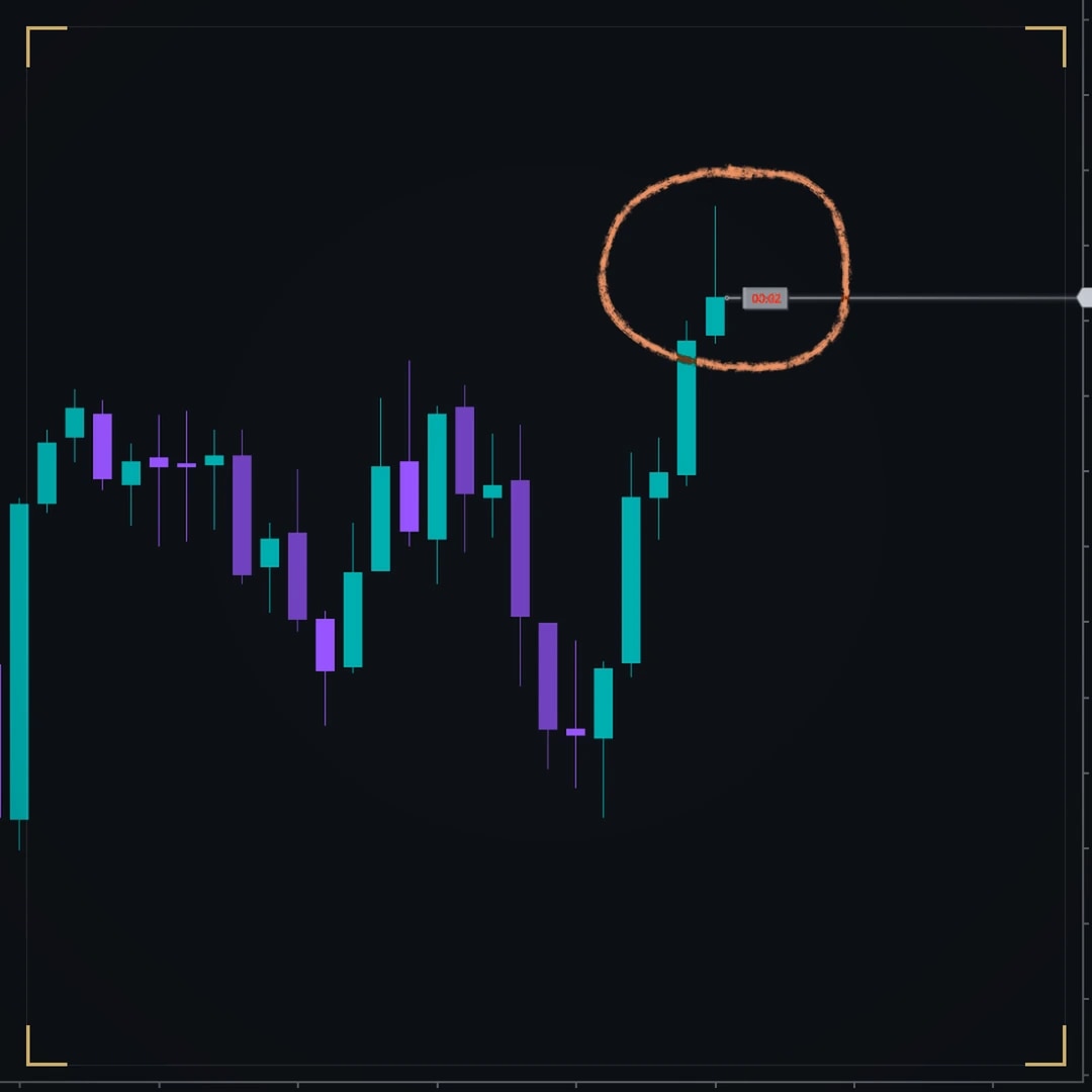 DS Adaptive Price Line on a dark NinjaTrader chart: the line from the live candle to the price axis, with its countdown tag on it, circled by hand.